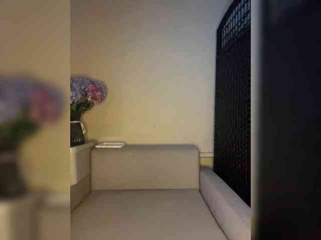 ALYA-01 webcam