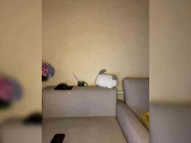 ALYA-01 webcam