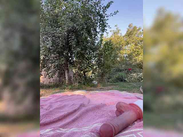 ALYA-01