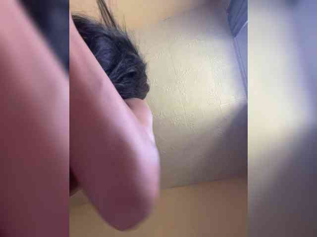 ALYA-01 webcam