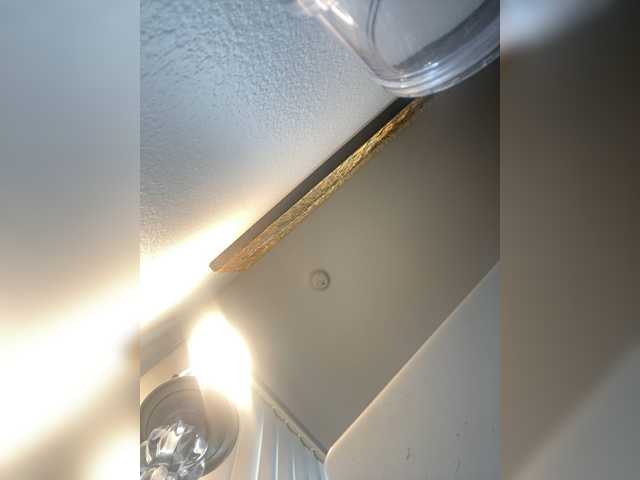 ximora212 Live Cam and Statistics on UnifiedCams