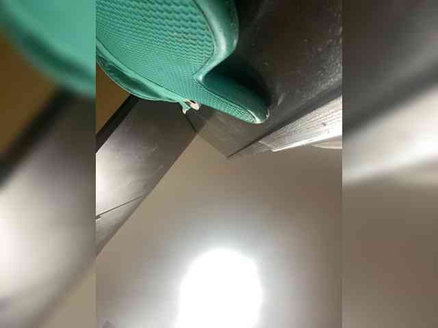 ximora212 webcam