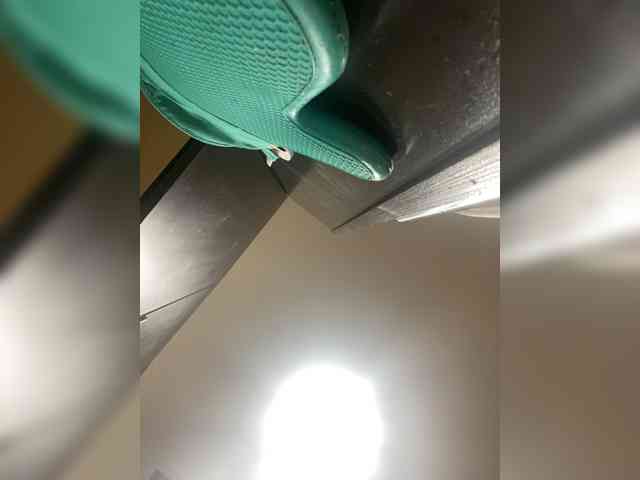ximora212 webcam