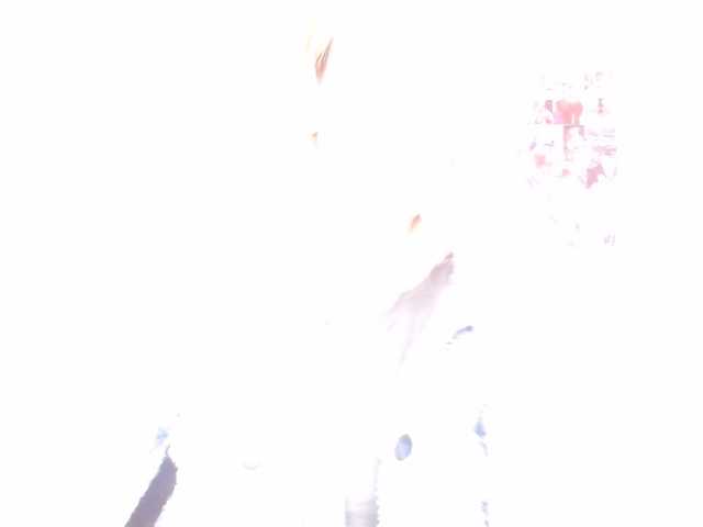 LunaVibe-V live cam on BongaCams
