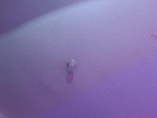 valeri-sotoo Porn Show