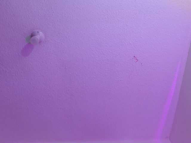 valeri-sotoo live webcam show