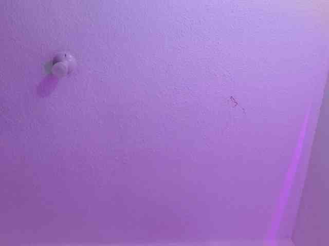 valeri-sotoo webcam