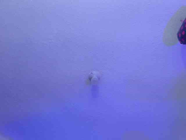 valeri-sotoo webcam