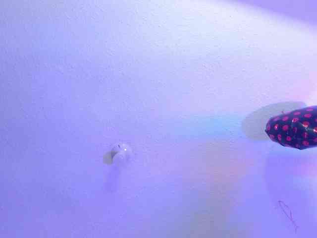 valeri-sotoo webcam