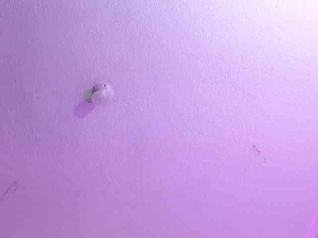 valeri-sotoo webcam