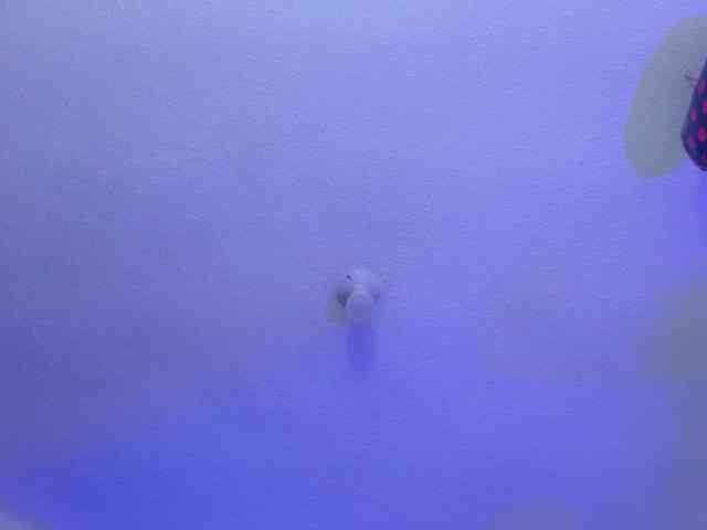 valeri-sotoo webcam