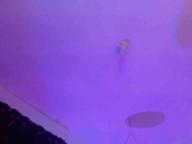 valeri-sotoo webcam