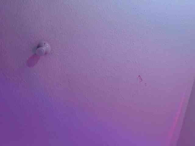 valeri-sotoo webcam