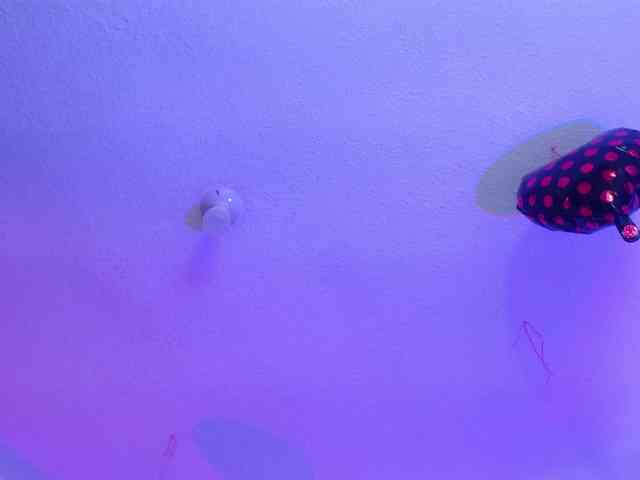 valeri-sotoo webcam