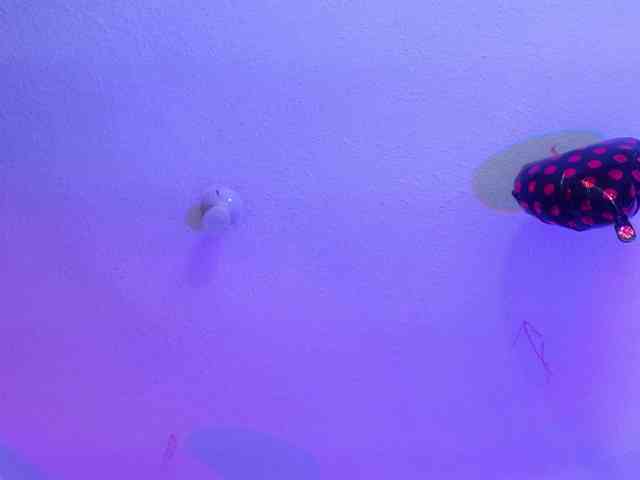 valeri-sotoo webcam