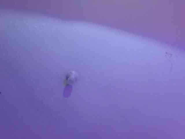 valeri-sotoo webcam