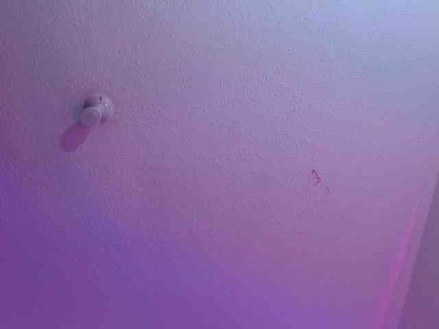 valeri-sotoo webcam