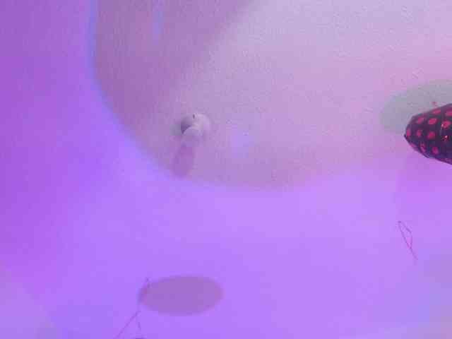 valeri-sotoo webcam