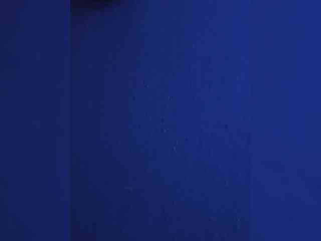 AlexlexaCpl webcam