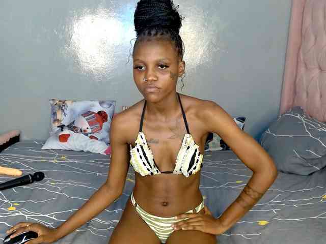 Cocoheat webcam
