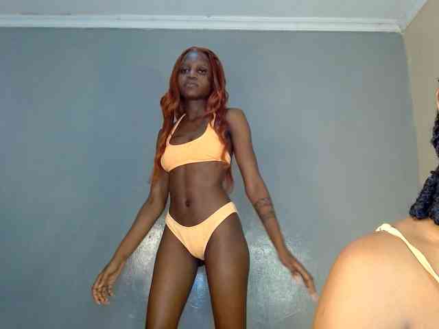 Cocoheat webcam