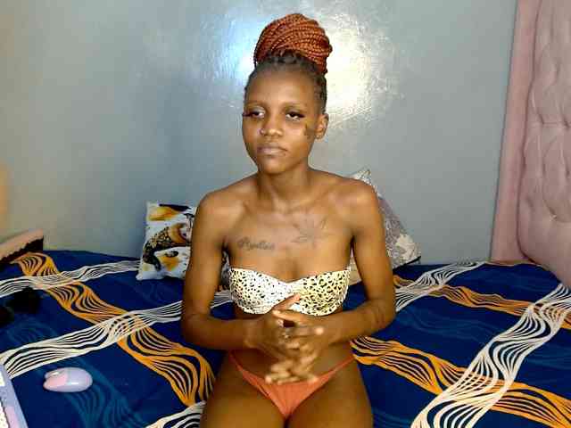 Cocoheat webcam