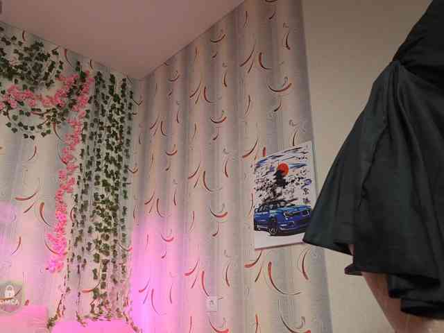SpaceDanger webcam