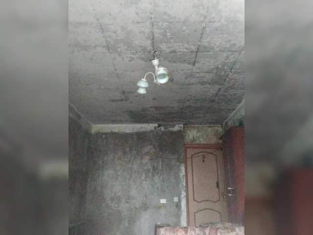 Preview of tpax-b-kucky