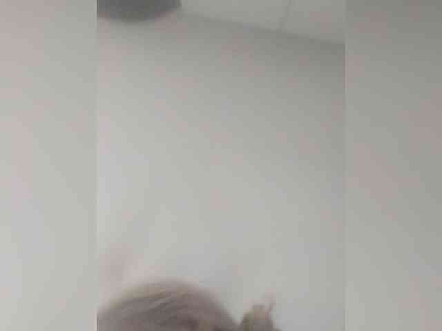 TPAX-B-KucKy webcam