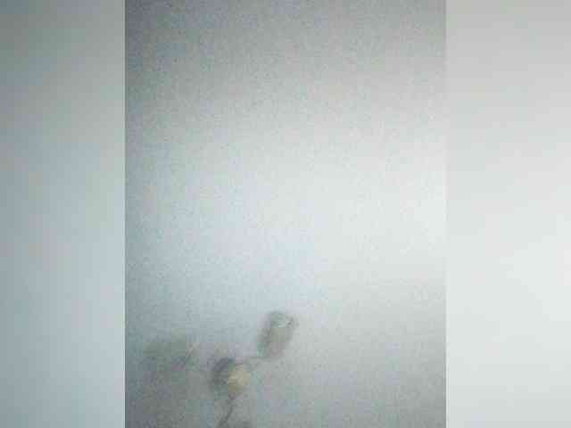 TPAX-B-KucKy webcam