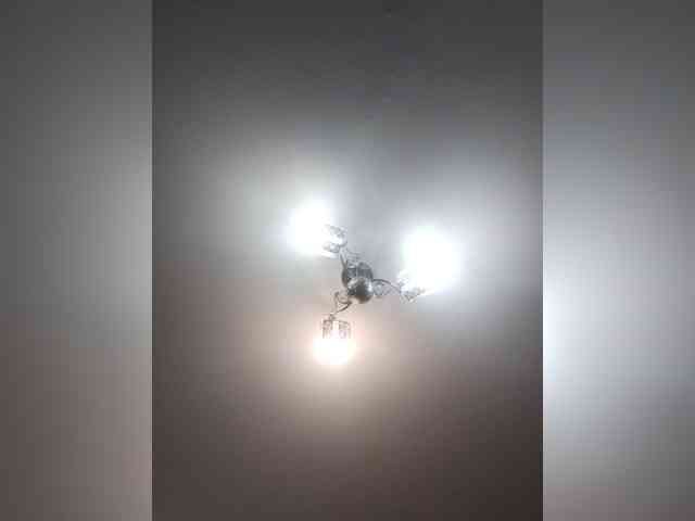 TPAX-B-KucKy webcam
