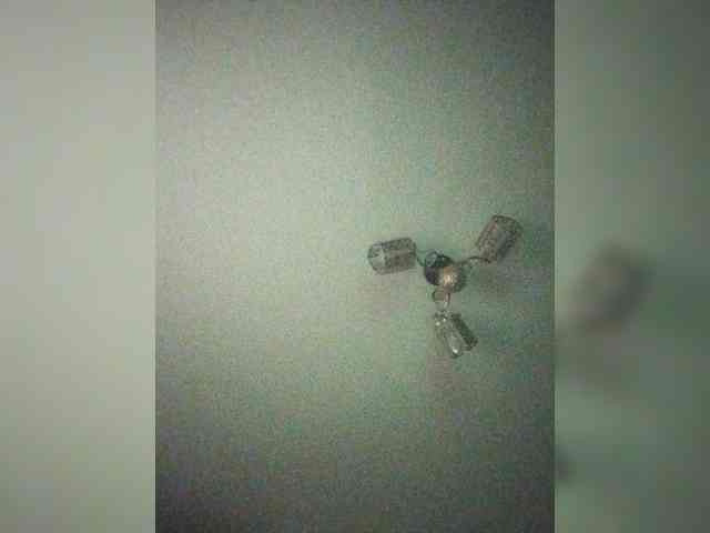 TPAX-B-KucKy webcam