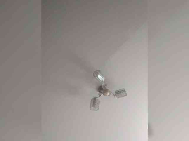 TPAX-B-KucKy webcam