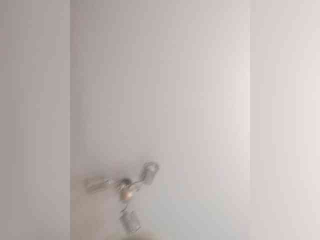 TPAX-B-KucKy webcam