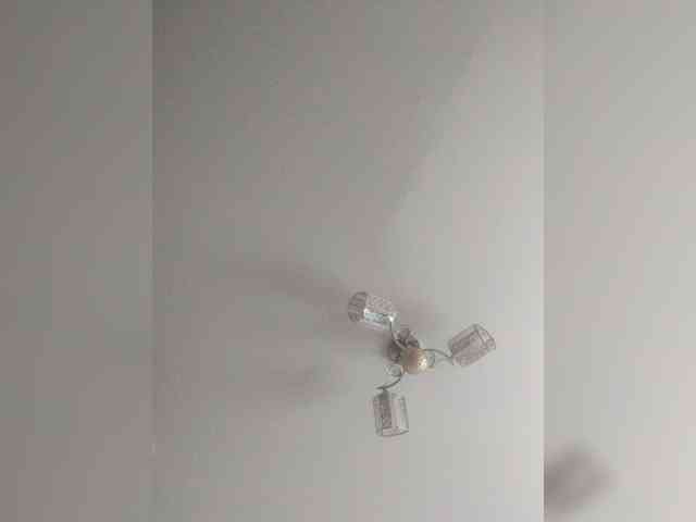 TPAX-B-KucKy webcam