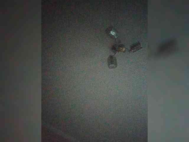 TPAX-B-KucKy webcam