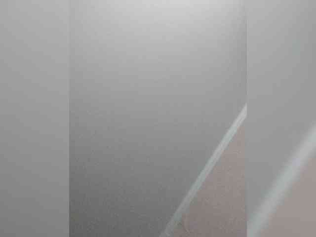 TPAX-B-KucKy webcam