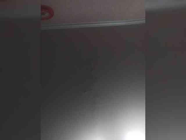 TPAX-B-KucKy webcam