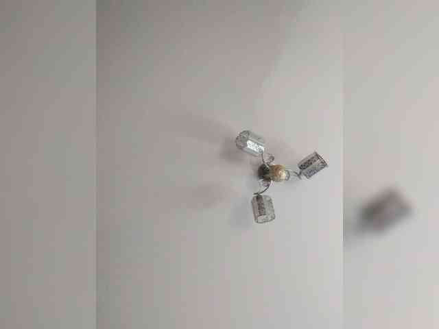 TPAX-B-KucKy webcam