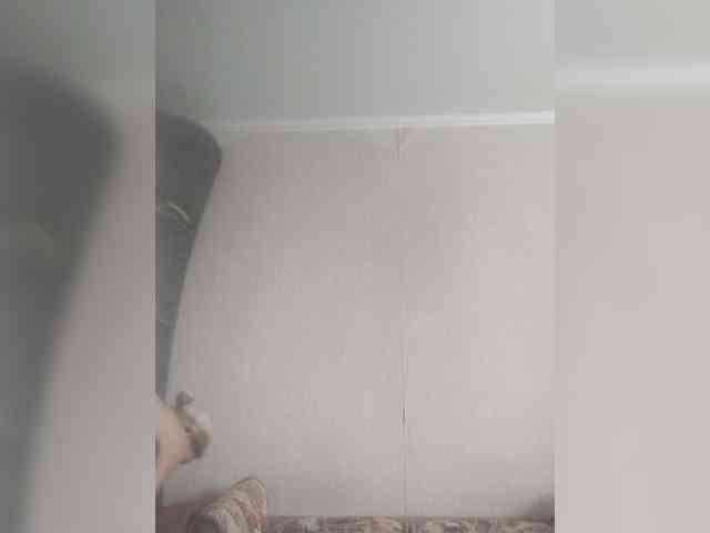 TPAX-B-KucKy webcam