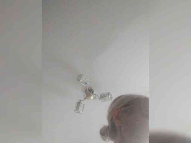 TPAX-B-KucKy webcam