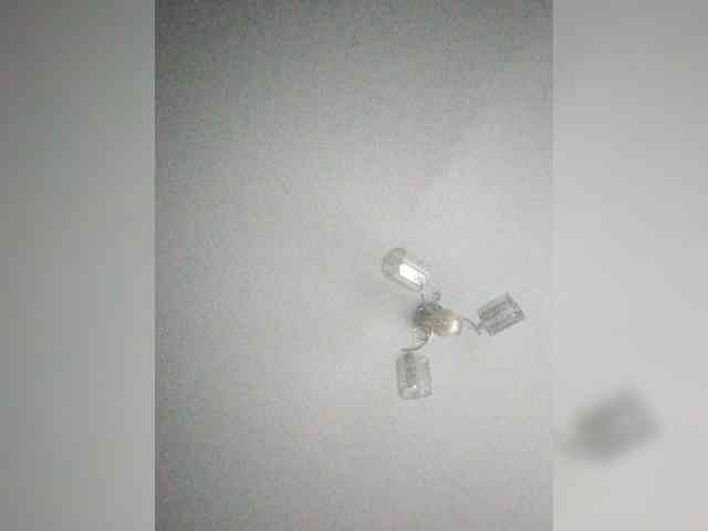 TPAX-B-KucKy webcam