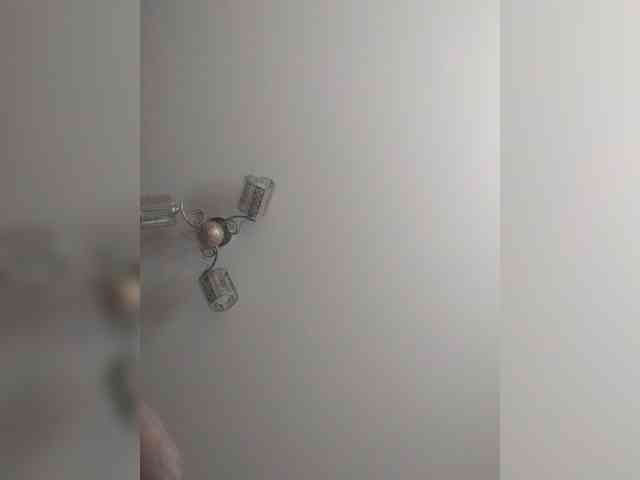 TPAX-B-KucKy webcam