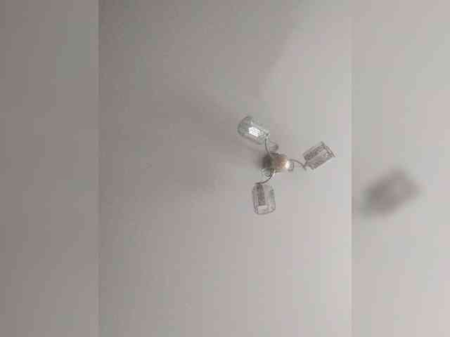 TPAX-B-KucKy webcam