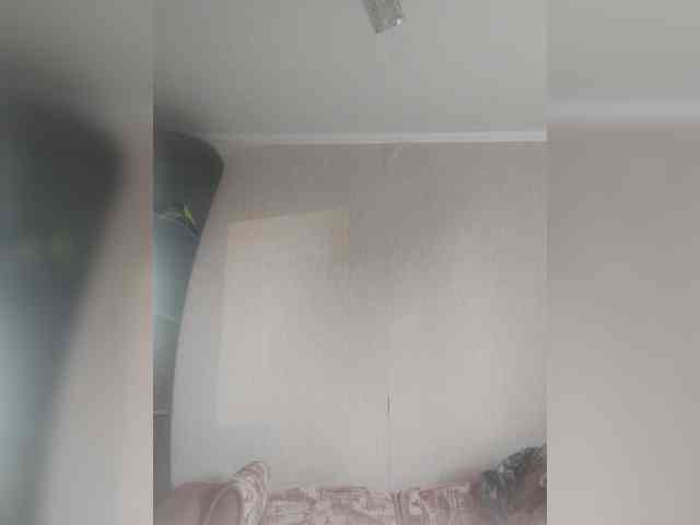 TPAX-B-KucKy webcam