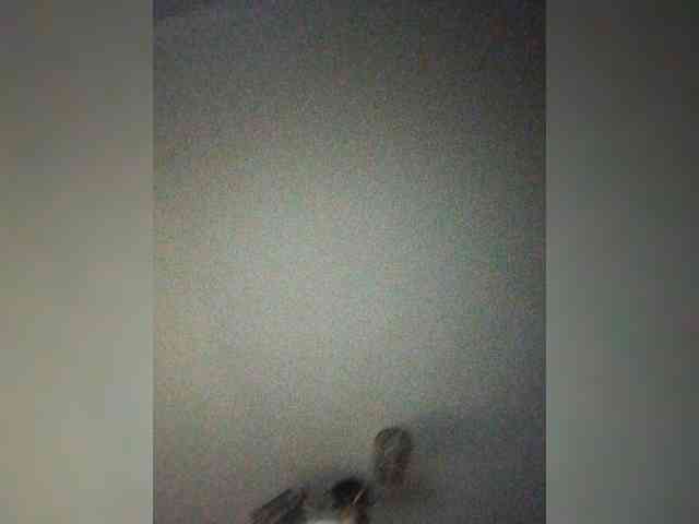 TPAX-B-KucKy webcam