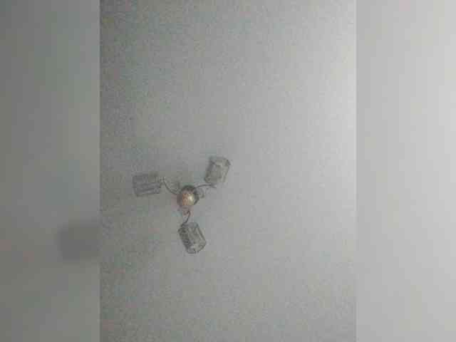 TPAX-B-KucKy webcam
