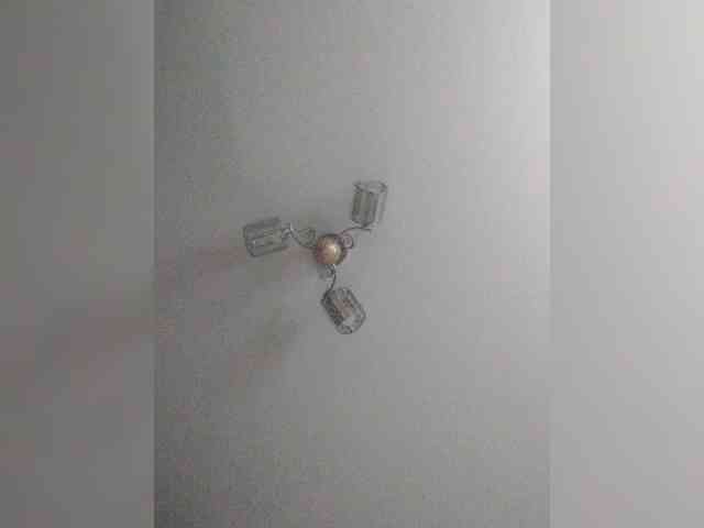TPAX-B-KucKy webcam