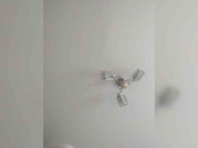 TPAX-B-KucKy webcam