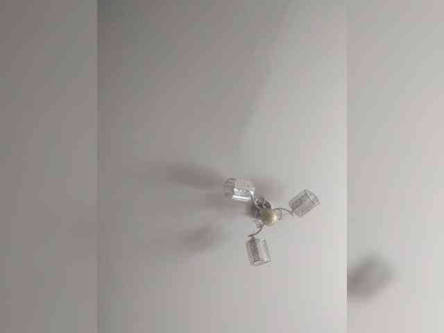 TPAX-B-KucKy webcam